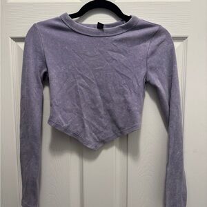 Lavender Distressed Long Sleeve V Crop Top